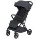 Прогулянкова коляска Espiro Just 117 Graphite Berry