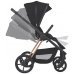 Коляска 2в1 Espiro Miloo 2024 109 Charming Touch