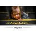 Батут Espiro Sky Up 244см