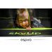 Батут Espiro Sky Up 305см